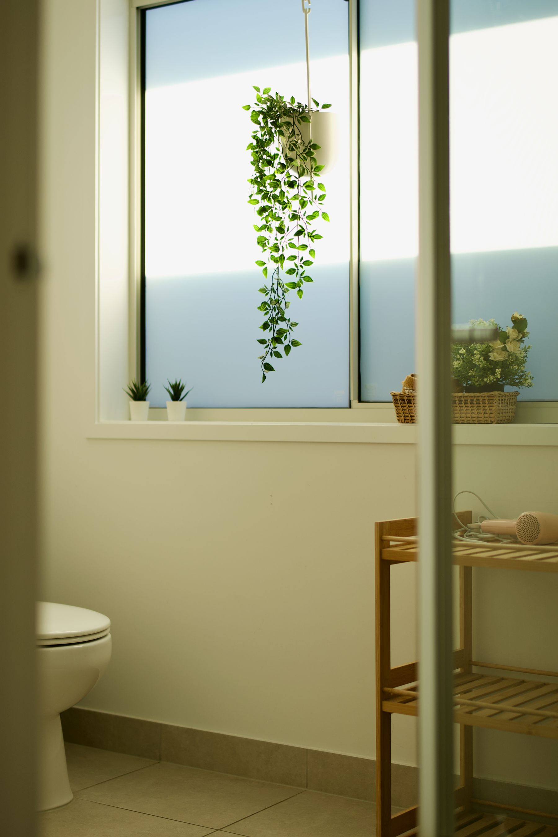Bathroom window with a trailing hanging plant
