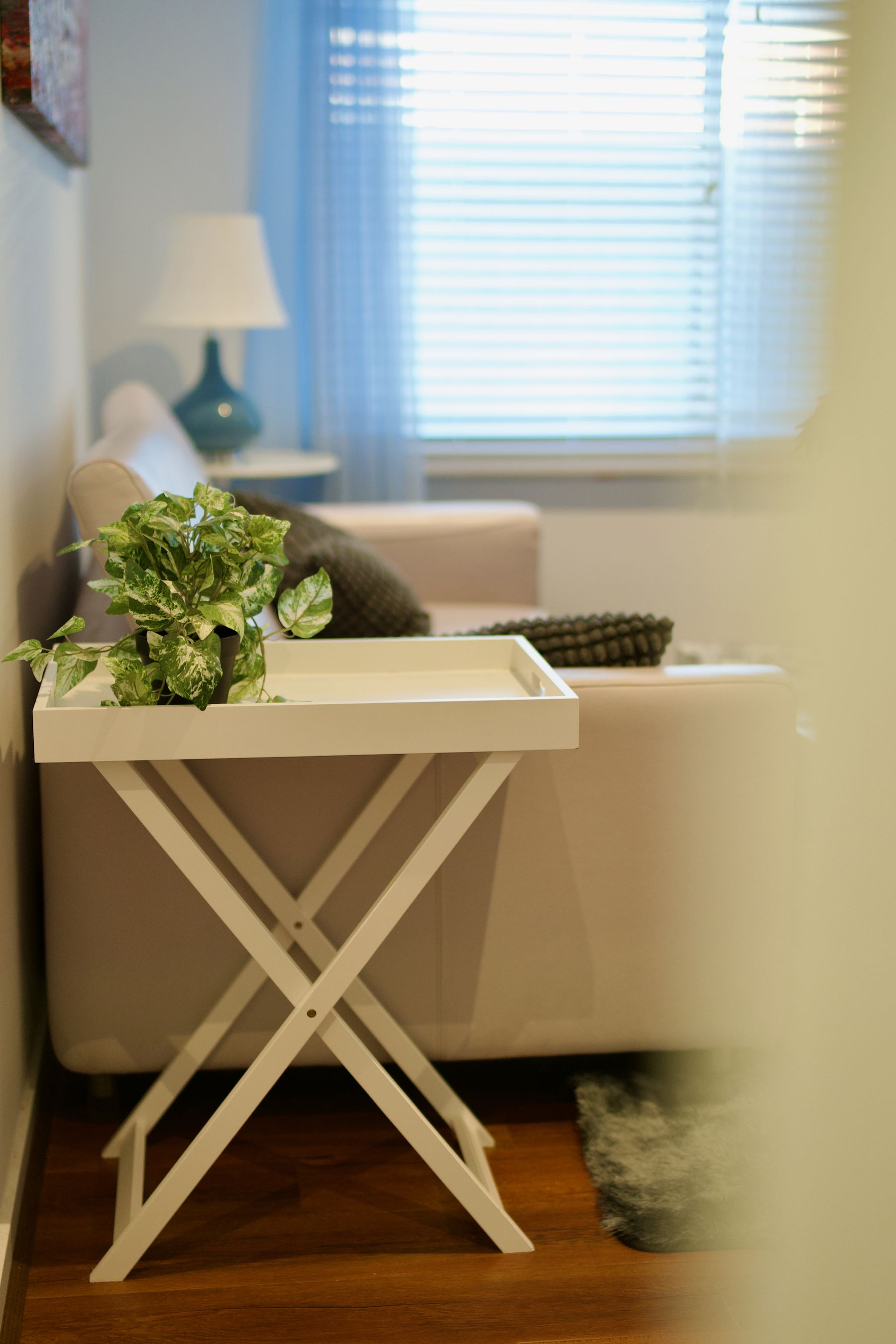 Tray table with a potted plant beside the sofa